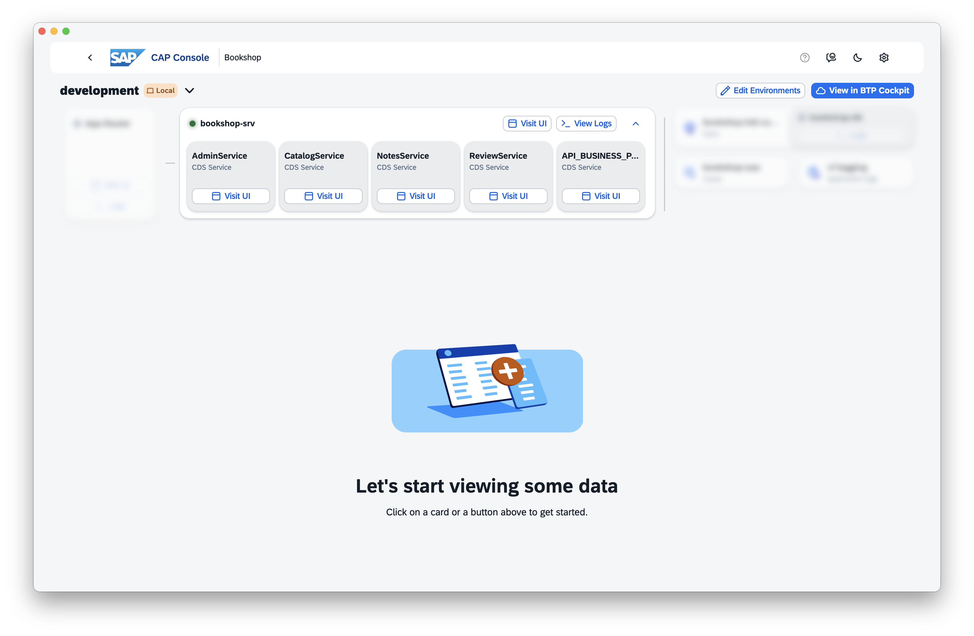 Screenshot of CAP console local environment