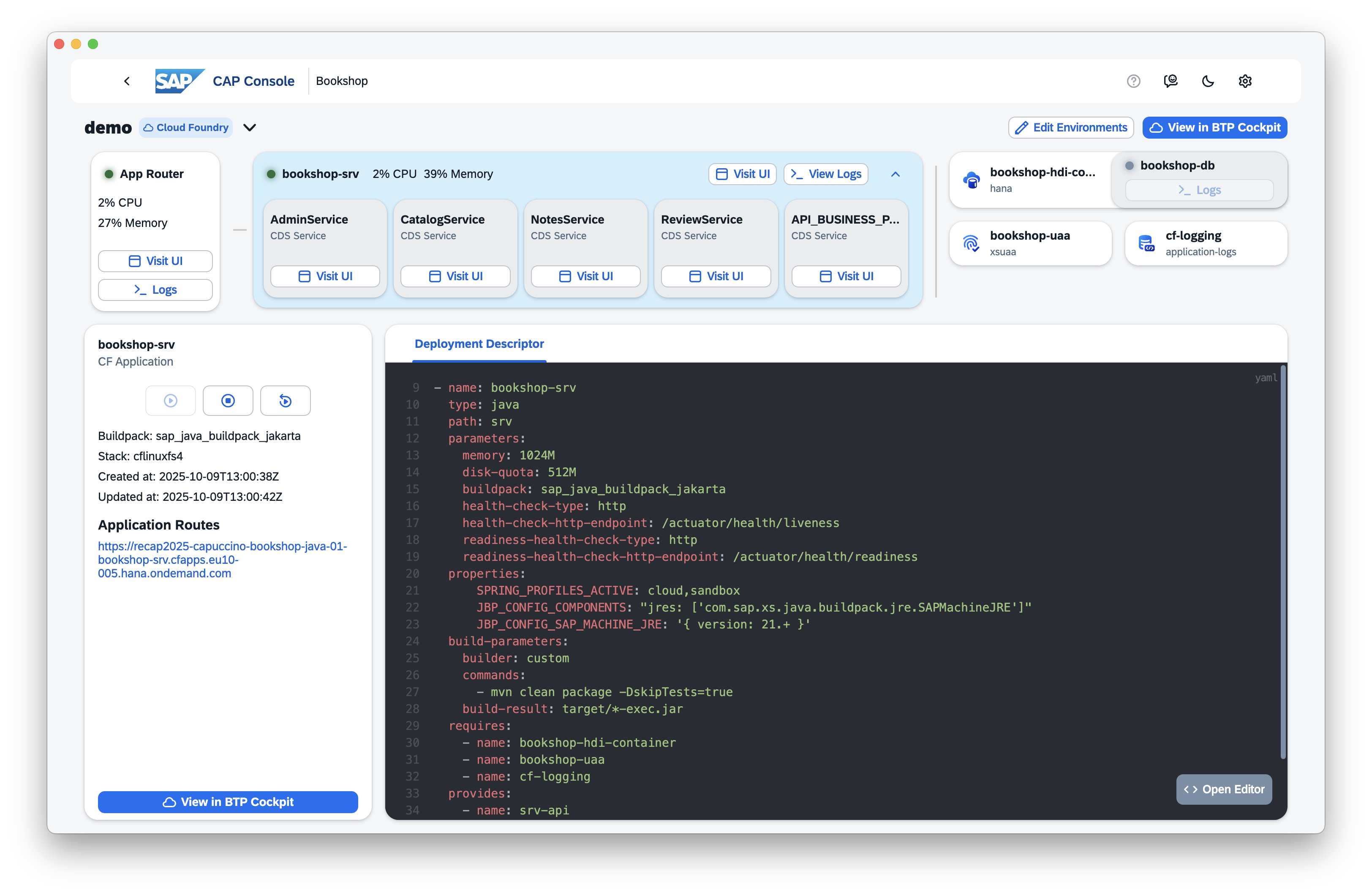 Screenshot of CAP console meta information